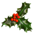 Holly